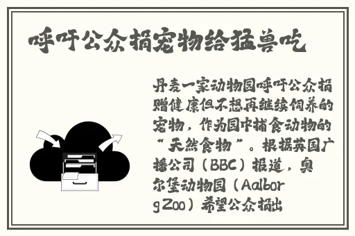 国产日本欧美